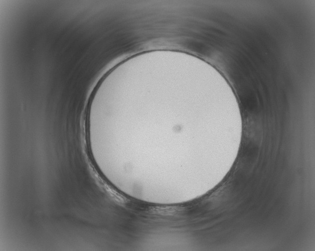 X0000067521150200604211810