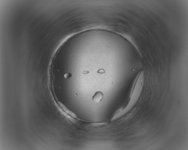 X0000067521151200604211810