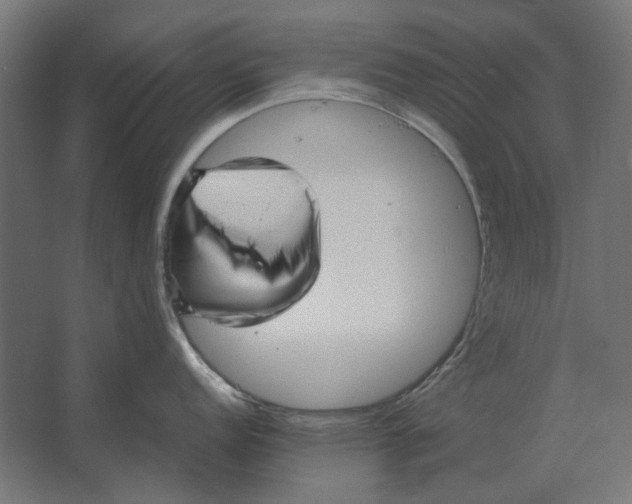 X0000067521152200604211810