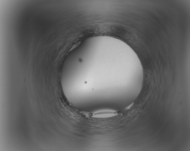 X0000067521153200604211809