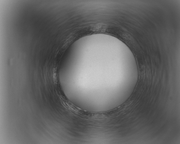 X0000067521154200604211809