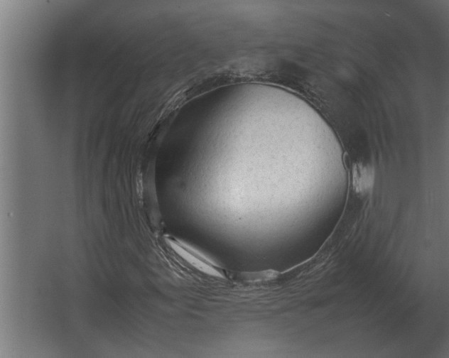 X0000067521155200604211809