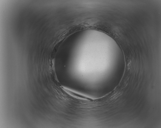 X0000067521156200604211809