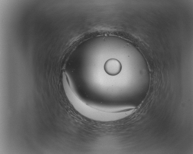 X0000067521157200604211809