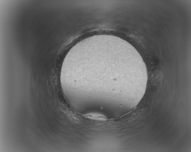 X0000067521159200604211809