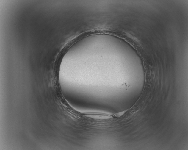 X0000067521160200604211809