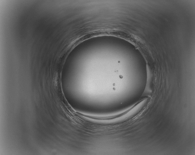 X0000067521161200604211809