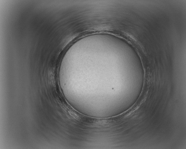 X0000067521162200604211809