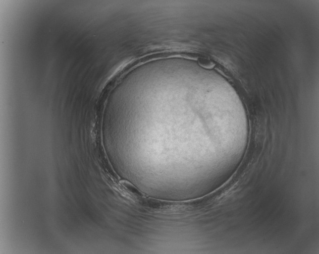 X0000067521163200604211809