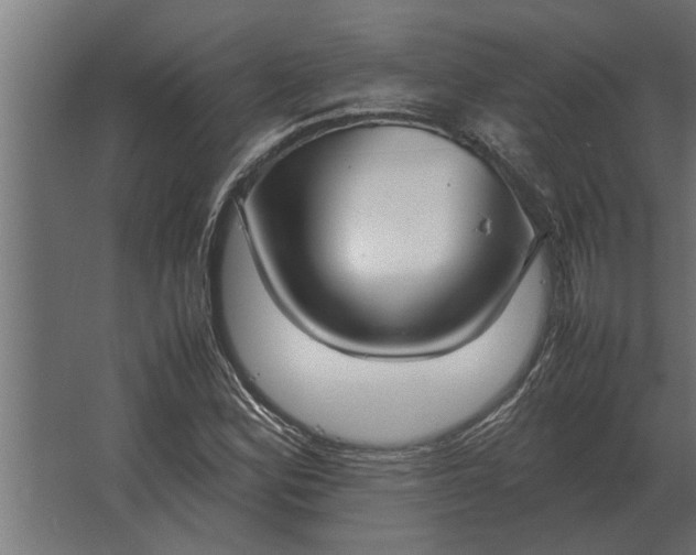 X0000067521164200604211809