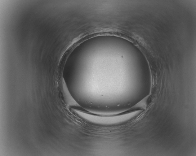 X0000067521165200604211809