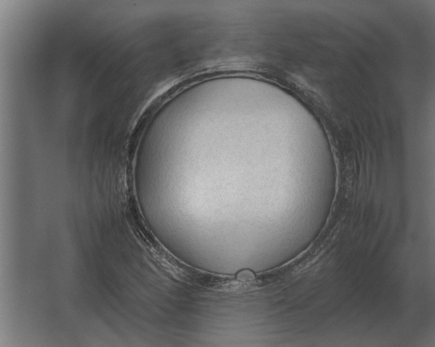 X0000067521166200604211809