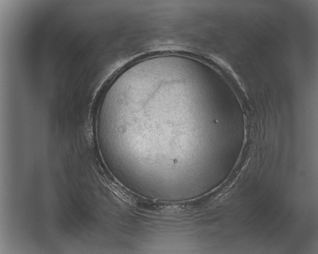 X0000067521167200604211809