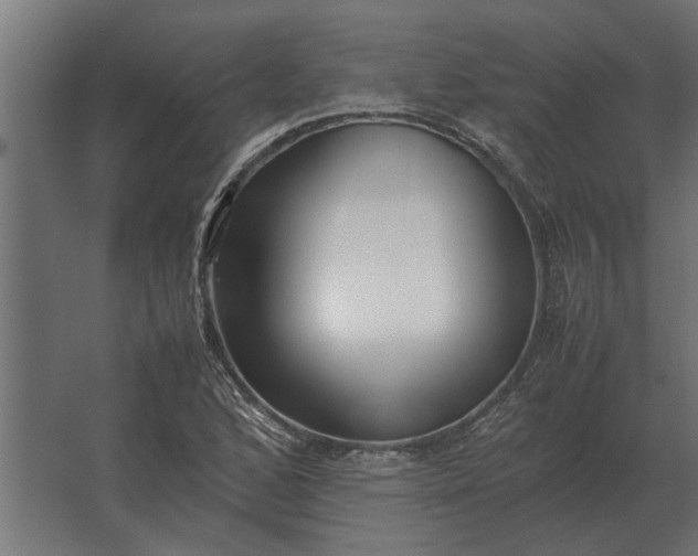 X0000067521168200604211809