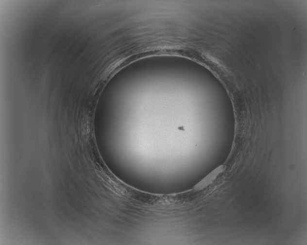 X0000067521169200604211809