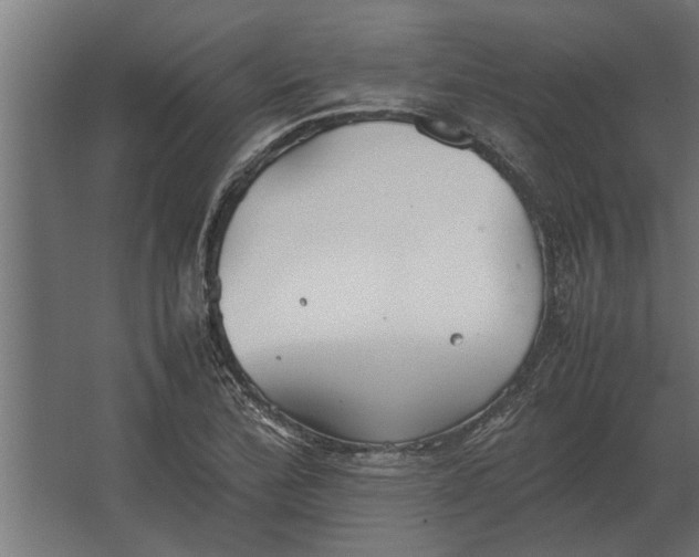 X0000067521172200604211809