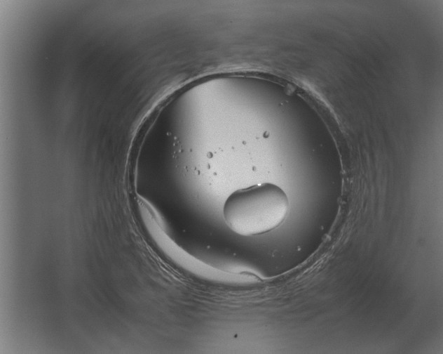 X0000067521173200604211809