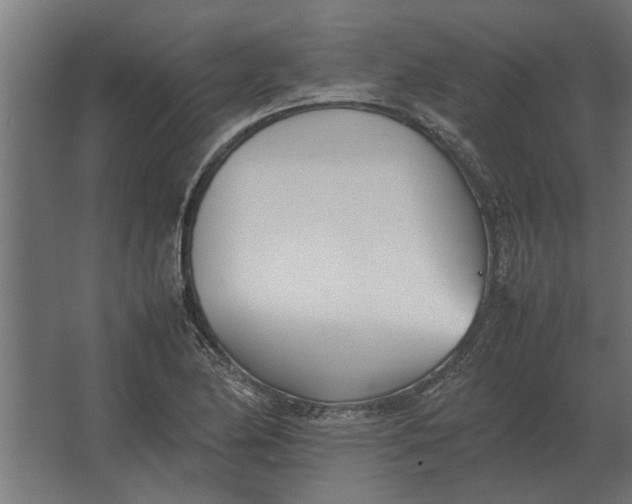 X0000067521174200604211809