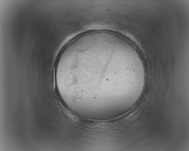 X0000067521175200604211809