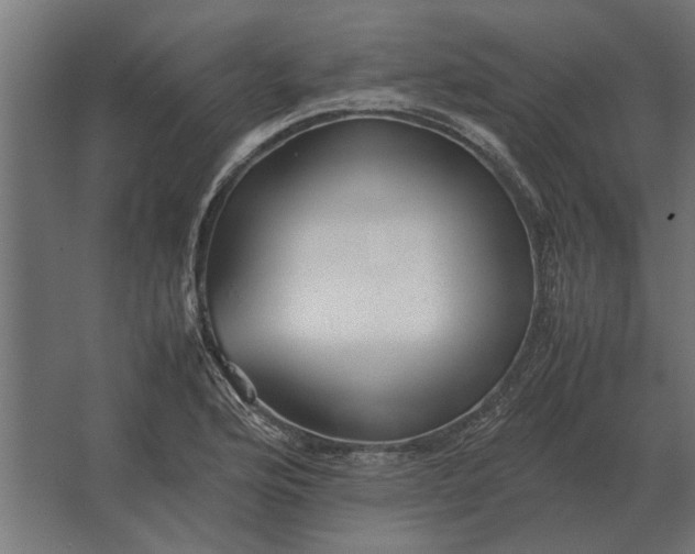 X0000067521176200604211809