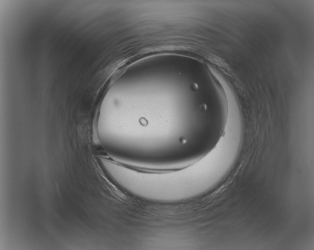 X0000067521177200604211809