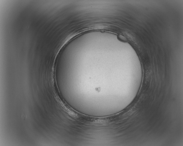 X0000067521178200604211809