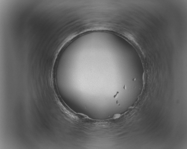 X0000067521181200604211809