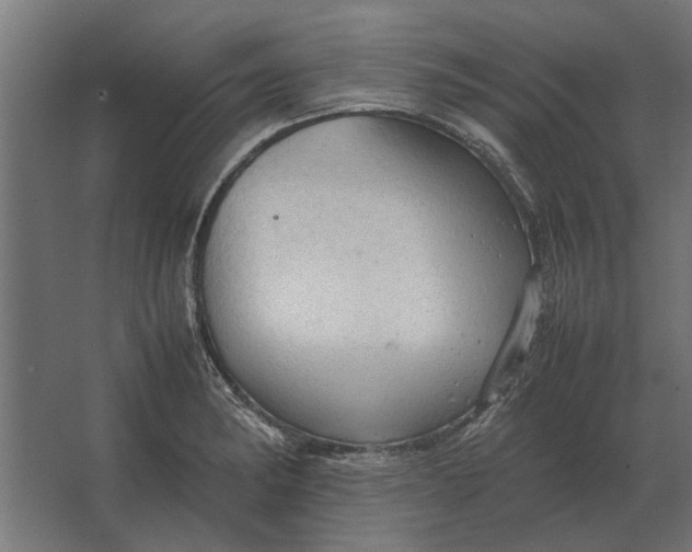 X0000067521182200604211809