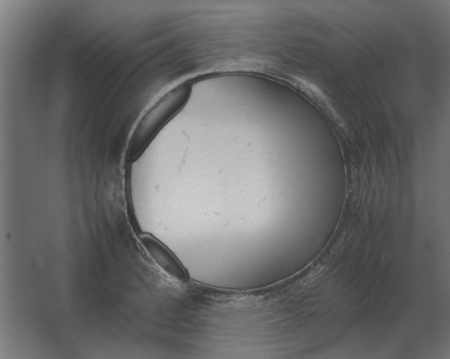 X0000067521184200604211809