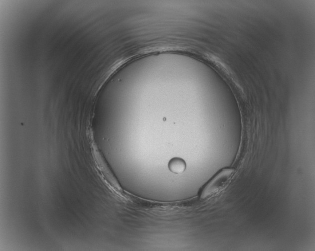 X0000067521185200604211809