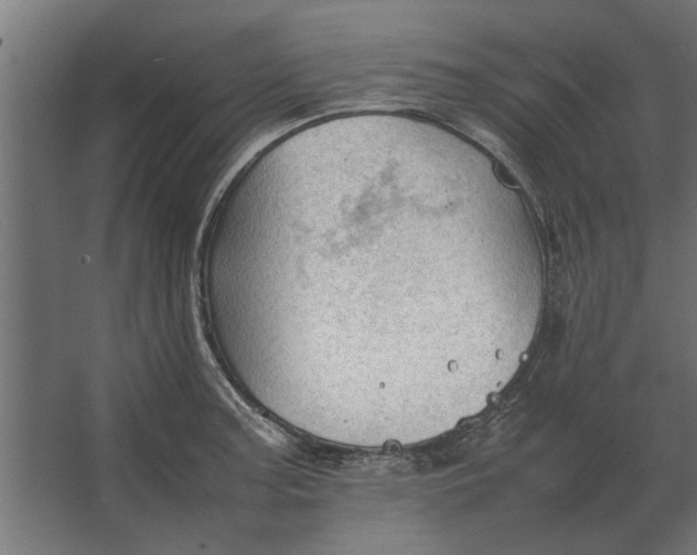 X0000067521187200604211809