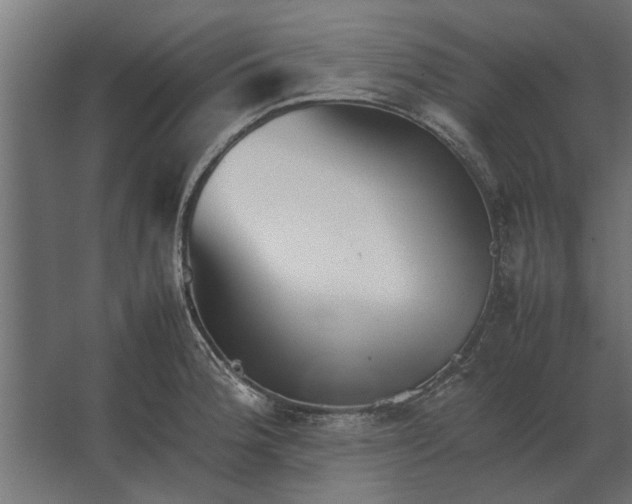 X0000067521188200604211809