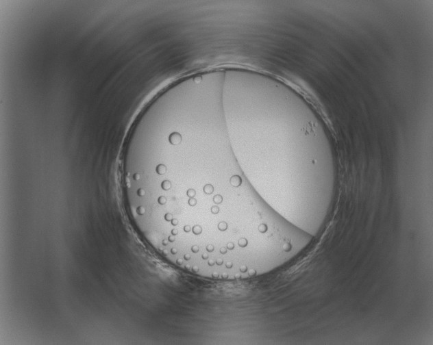 X0000067521190200604211809