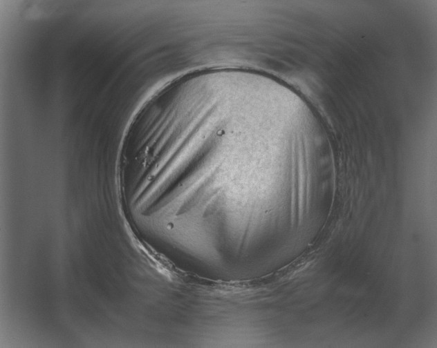 X0000067521191200604211809