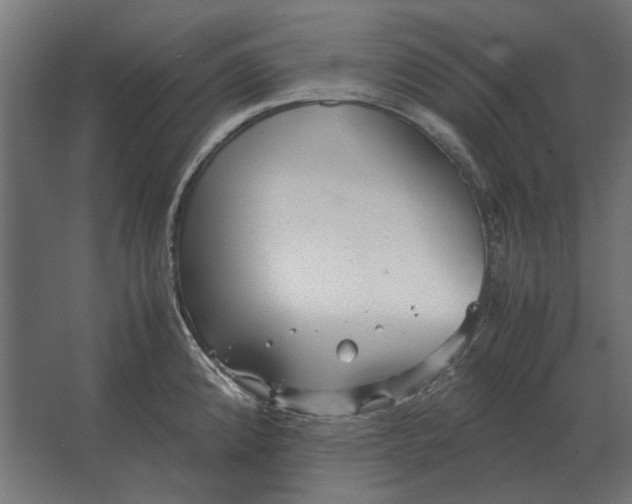 X0000067521192200604211809