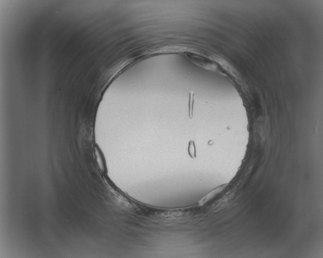 X0000067521193200604211809