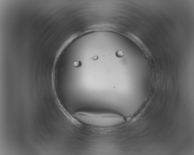 X0000067521196200604211809