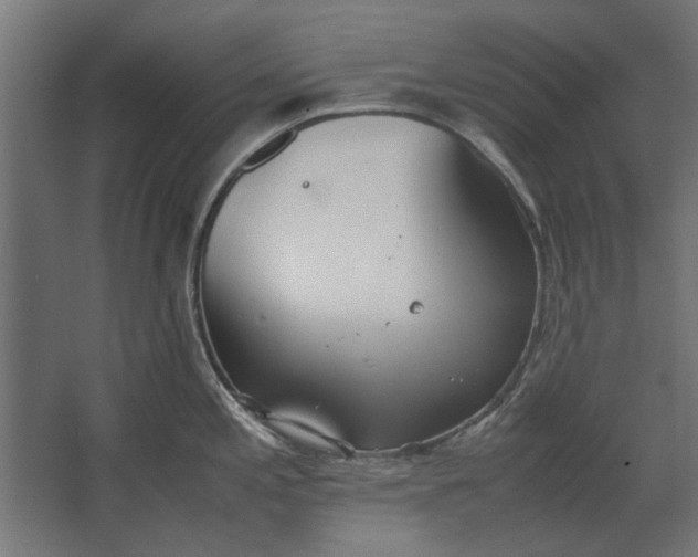 X0000067521197200604211809