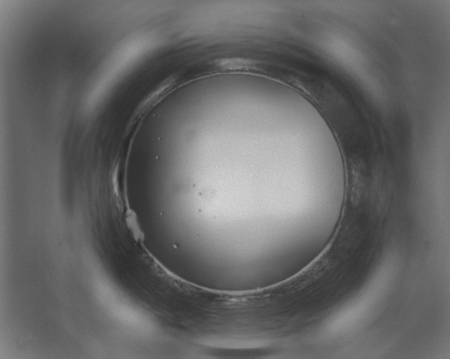 X0000067521198200604211809