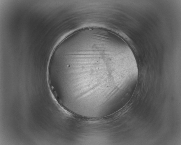 X0000067521199200604211809