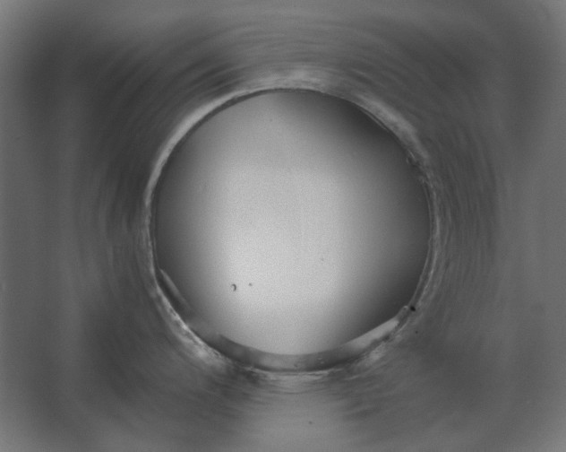 X0000067521200200604211809