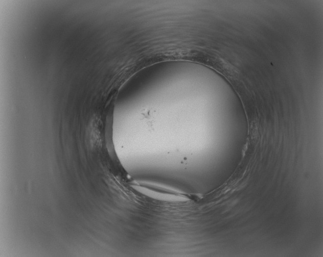 X0000067521202200604211808