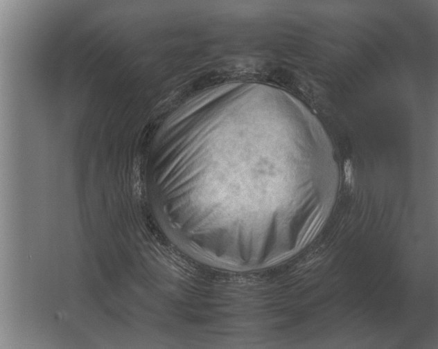 X0000067521203200604211808