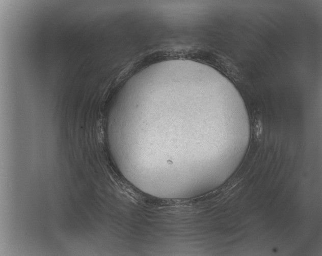 X0000067521204200604211808