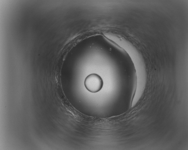 X0000067521206200604211808