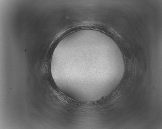 X0000067521208200604211808