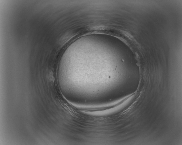 X0000067521209200604211808