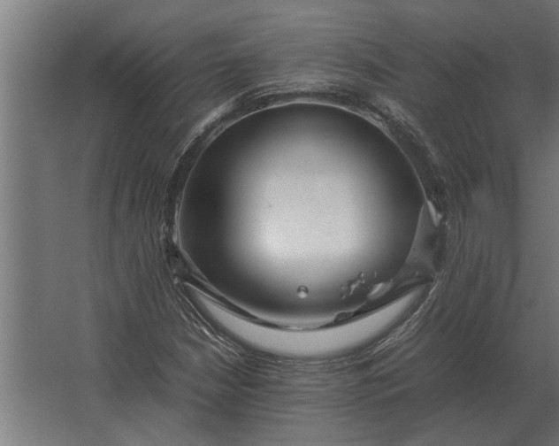 X0000067521210200604211808