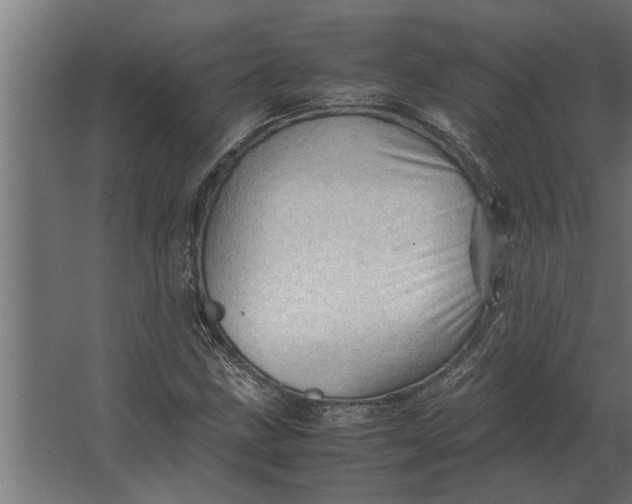 X0000067521211200604211808