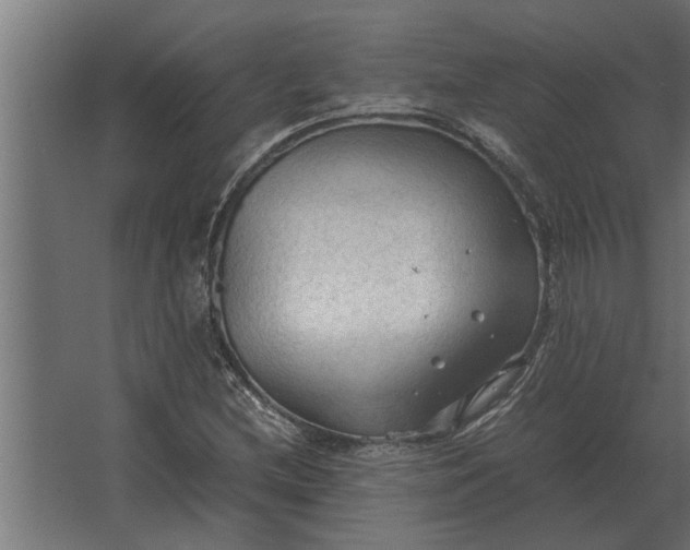 X0000067521212200604211808